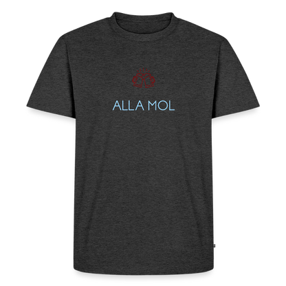 HERREN ORGANIC SHIRT - ALLA MOL DARK - Anthrazit meliert